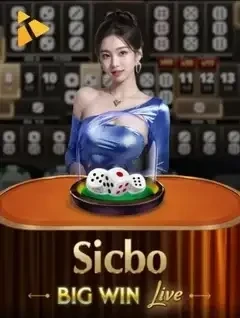 DE88 Sicbo BigWin