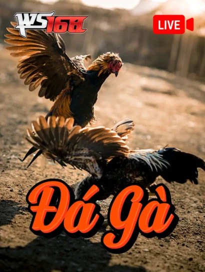 DE88 Đá Gà Livestream